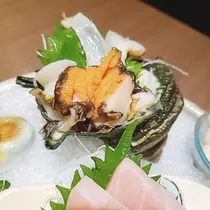 紫音