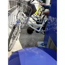エミ （スタッフ）