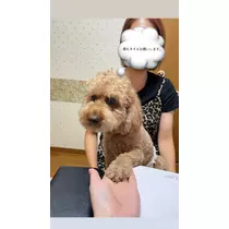 みり