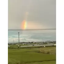 ののか