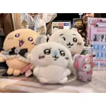 ぱき