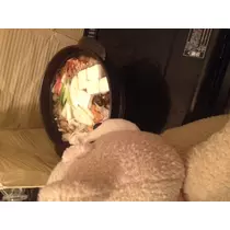 蓮見 リア