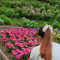 七瀬 みか