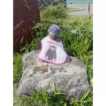 しゃけ
