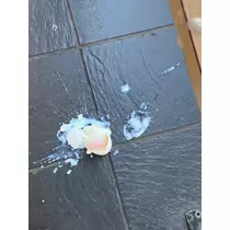 はづき