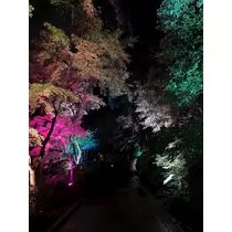 あんな