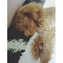 千兎 ちひろ