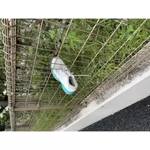 あみ