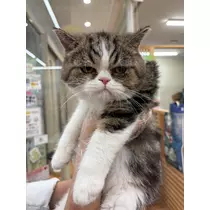 のぞみ
