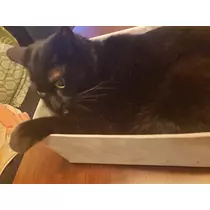 エミ （スタッフ）