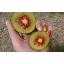 らん