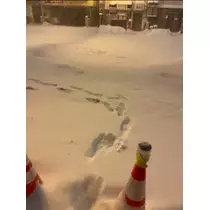 宝條 夏恋