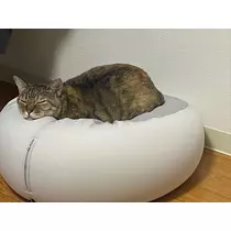 華宮 れい