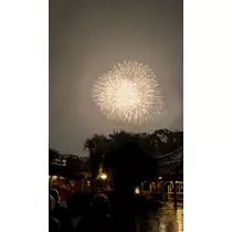 かれん