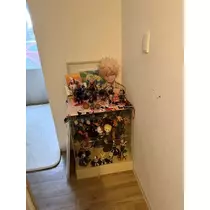 桐島 りゅう