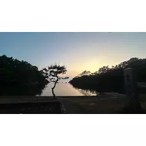 せな