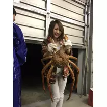 蓮見 リア