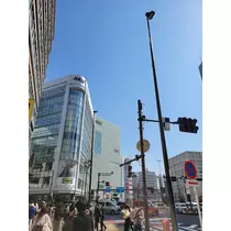 ゆきの