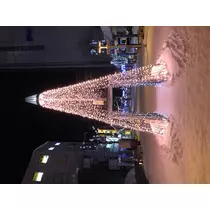 宝條 夏恋