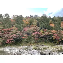 りおな