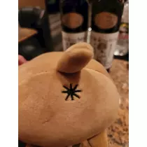 紫音