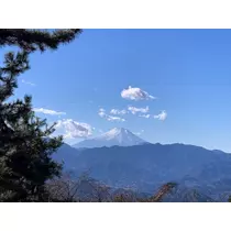あみ