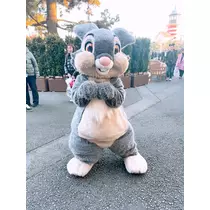 姫花