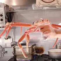ゆうか