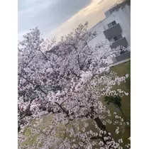響