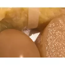 ルア