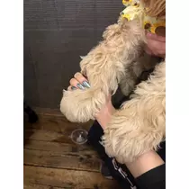 ミヅキ