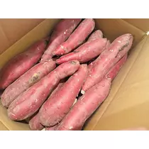 華宮 りりあ