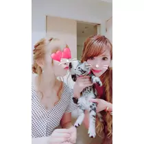 夢乃 サラ