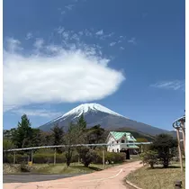 りな