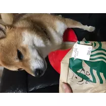 藤咲 りな