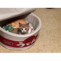 ももか