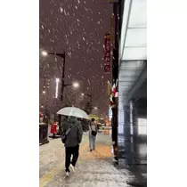 華宮 りりあ