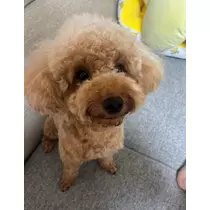 あいりちゃん