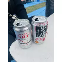 司