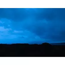 ゆかり