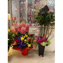 宝條 夏恋