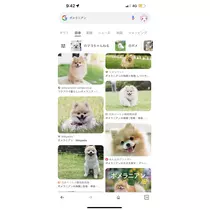 ユメ
