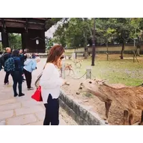 ゆかり