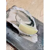 宝條 夏恋