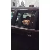 らら