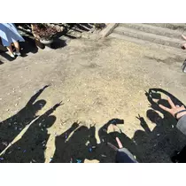 美穂