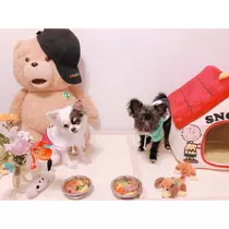じゅん