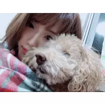 しおり