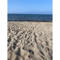 成海 まお