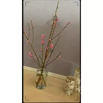 七海 結愛